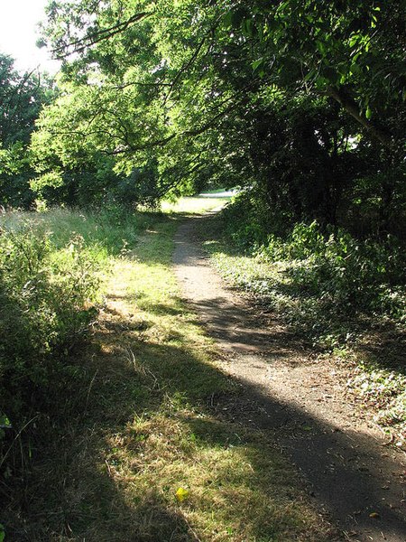 File:The Street - geograph.org.uk - 900023.jpg