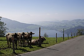 The Zugerberg overlooking Lake Zug - panoramio (83).jpg