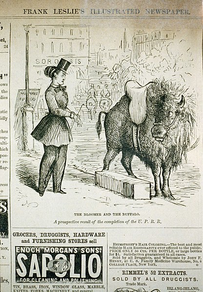 File:The bloomer and the buffalo. A prospective result of the completion of the U.P.R.R. LCCN2002720306.jpg