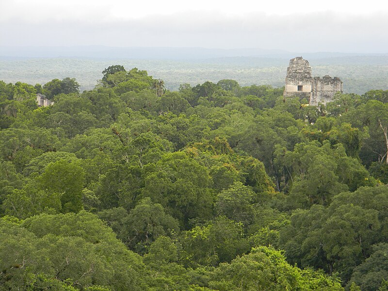 File:Tikal, Guatemala Laslovarga54.JPG