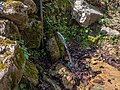 * Nomination Drinking fountain "Damaiturri" near Urkizu in the mountains of Tolosa. Gipuzkoa, Basque Country, Spain --Basotxerri 07:16, 7 May 2017 (UTC) * Promotion Good quality. --DXR 07:51, 7 May 2017 (UTC)