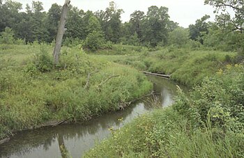 The Tongue River in Icelandic State Park Tongue River North Dakota.jpg