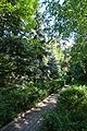 Tsiurupynsk Arboretum of the Lower Volga Dnieper Scientific Research Station 14 (YDS 0708).jpg