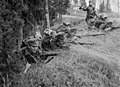 Finlàndia: soldats amb kenttälakki m/36