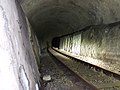 Tunnel der ehemaligen Odenwaldbahn bei Wald-Michelbach DSCF6689.jpg