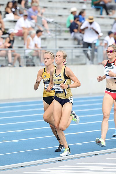 File:USATF day 4 2018 (42992410571).jpg