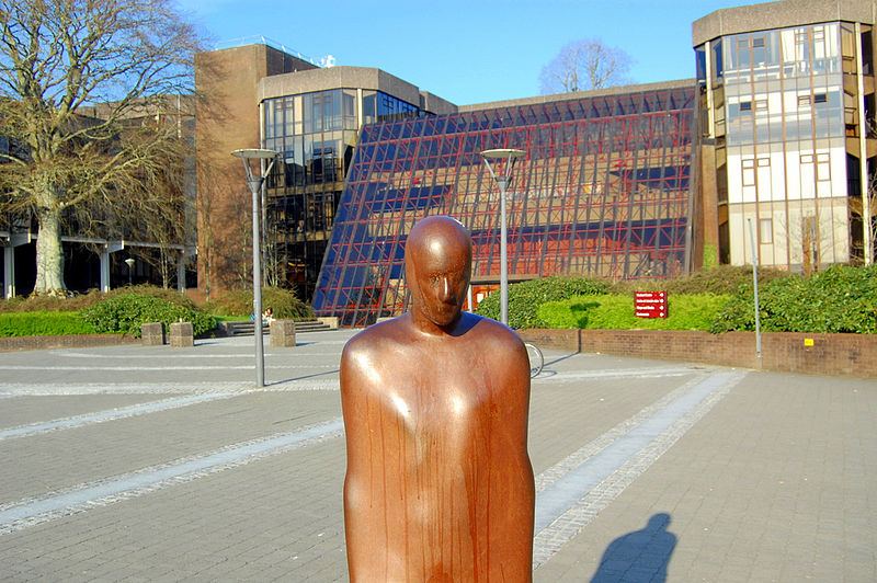 ファイル:UniversityOfLimerick AntonyGormley.jpeg