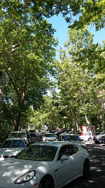 File:Vazgen Sargsyan street, Yerevan 11.jpg