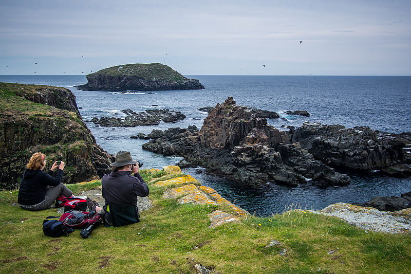 File:Watching for puffins (7725180060).jpg