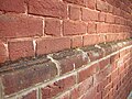 Historic Flemish Bond and Water Table at the Shindler House (ca. 1795)