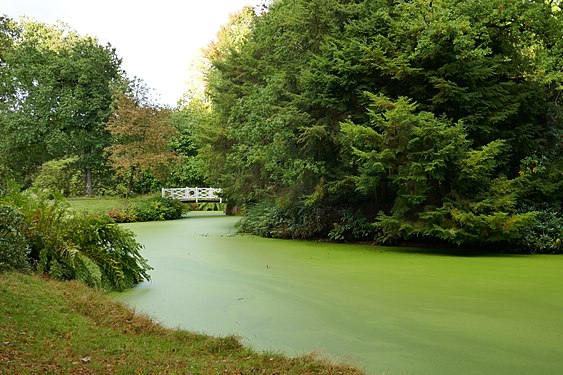 Wooden bridge at castle parc Lütetsburg, Ostfriesland