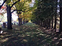 Whitevale Cemetery, Pickering, Canada 03.jpg