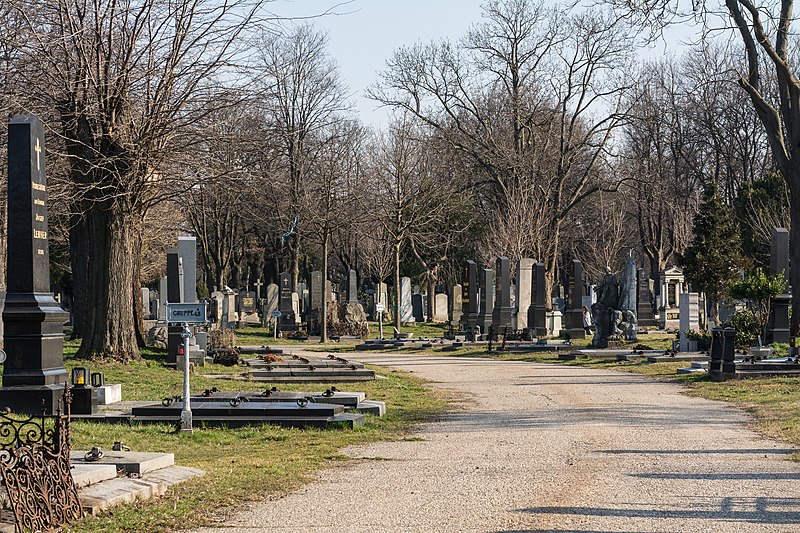 File:Wien Zentralfriedhof Gruppe 48 48a.jpg