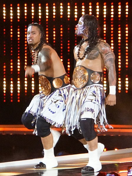 File:Wwe tag team champions the usos.jpg