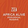 Thumbnail for Africa Alive!