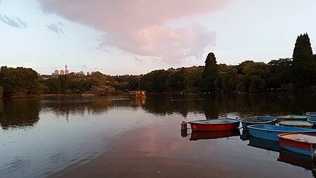 Zoo Lake, Johannesburg 2