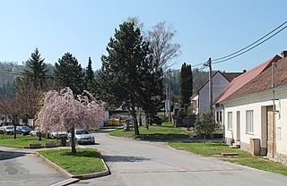 <span class="mw-page-title-main">Řícmanice</span> Municipality in South Moravian, Czech Republic