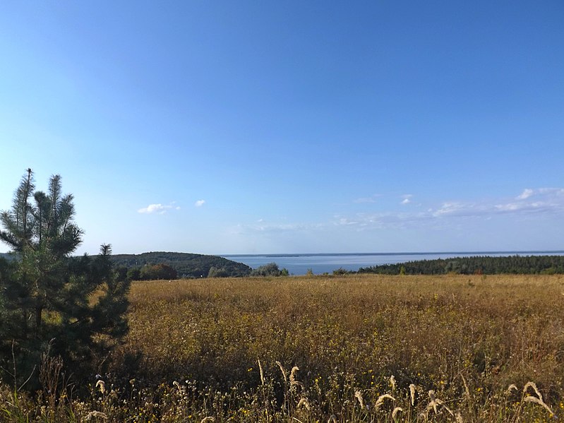 File:Вид на Дніпро (Канівське водосховище) із пагорба поблизу с.Ходорів. фото 2.jpg