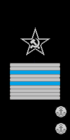 lieutenant général