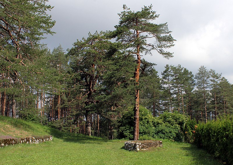 File:Краљева Вода, Златибор, Serbia - panoramio (1).jpg