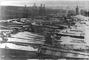 Тіла 118 робітників, убитих у ясинівці та Макіївці вояками Каледина 31 грудня 1917.