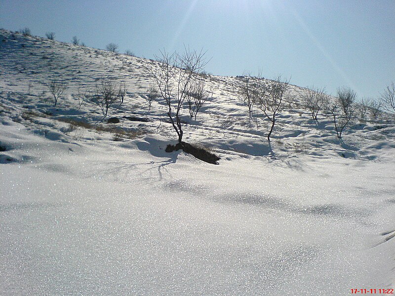 File:بارش برف در روستای زالی.JPG