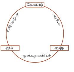 மூலக்கூற்று உயிரியல்