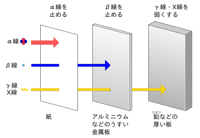 File 放射線の透過性 Svg Wikimedia Commons