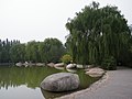 植物园人工湖 - panoramio (1).jpg
