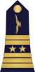 13.Cameroon Air Force-COL.svg