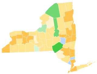 1848 New York state election