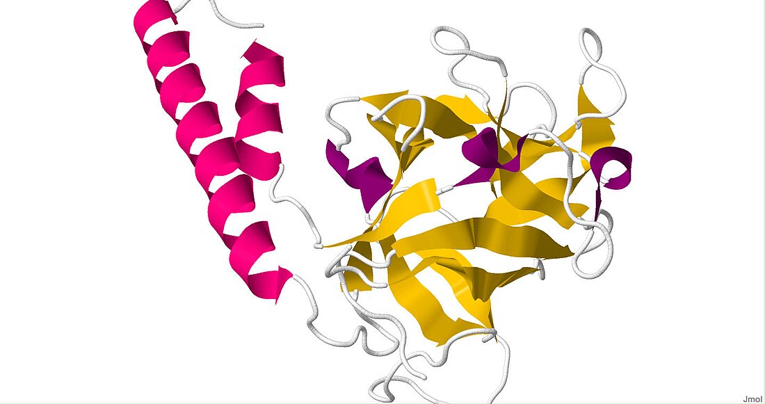 Inositol trisphosphate receptor