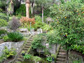 Thumbnail for Gibraltar Botanic Gardens