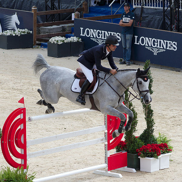 File:2013 Longines Global Champions - Lausanne - 14-09-2013 - Rodrigo Pessoa et Tinkabell 12 6.jpg