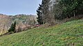 2020-03-27 (104) VFA Loich at rescue of a person in an alpine terrain in Schroffengegend, Loich, Austria.jpg