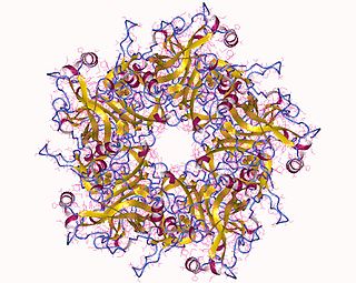 HPV Prevention and Control Board