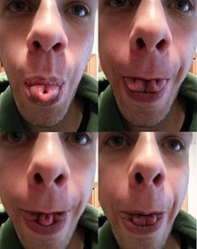 Cloverleaf tongue - 4 times 4x curling tongue.jpg