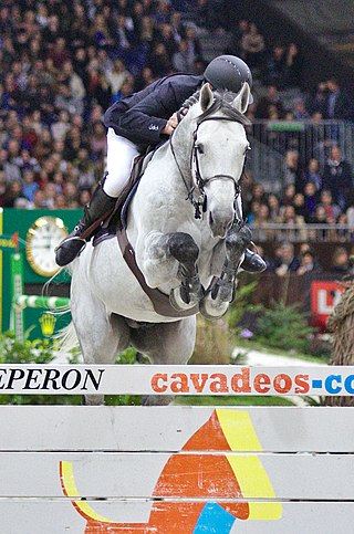 <span class="mw-page-title-main">Pégase du Mûrier</span> French show jumping stallion