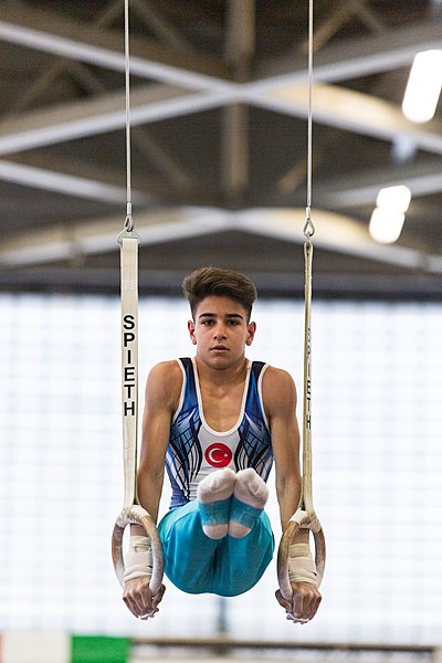 File:5th Budapest Cup 2019-05-25 Volkan Arda Hemeret (Norman Seibert) - 01053.jpg