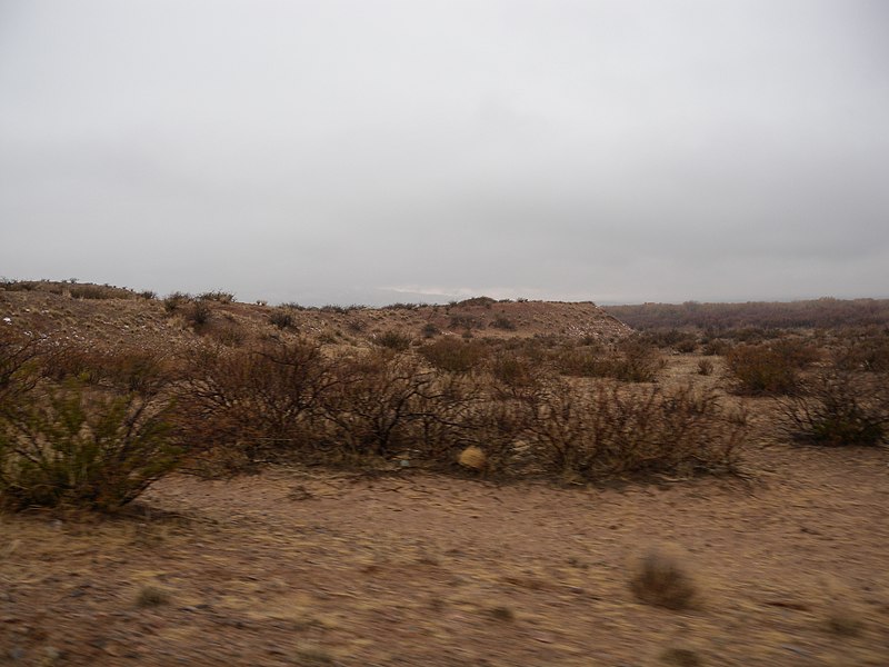 File:A close-up shot of a possible campsite along Bosquecito Road outside of Socorro, NM (7f98599a-902f-4bf2-8894-19961b15e101).JPG