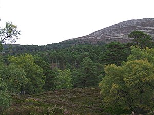 Lochnagar - Cnapan Nathraichean