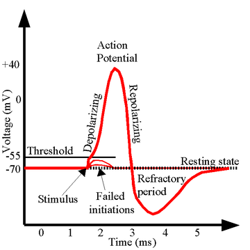 Vilopotential