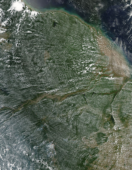 The clouds in this image of the Amazon Rainforest are a result of evapotranspiration.
