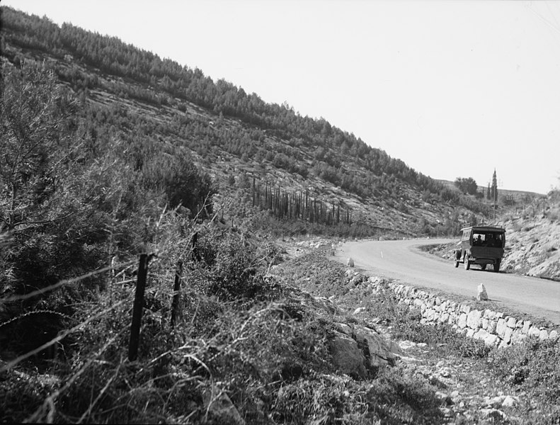 File:Agriculture, etc. Reforested area at Bab el Wad on the Jaffa road LOC matpc.15614.jpg