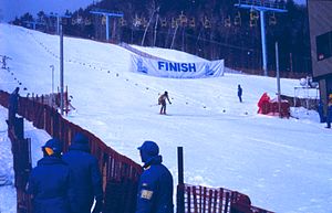 Alpineskiën op de Olympische Winterspelen van 1980.jpg