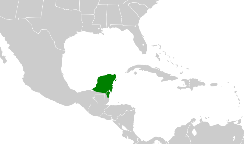 File:Amazona xantholora map.svg