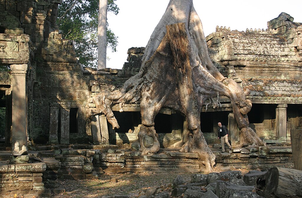 Angkor-Preah Khan-40-2007-gje