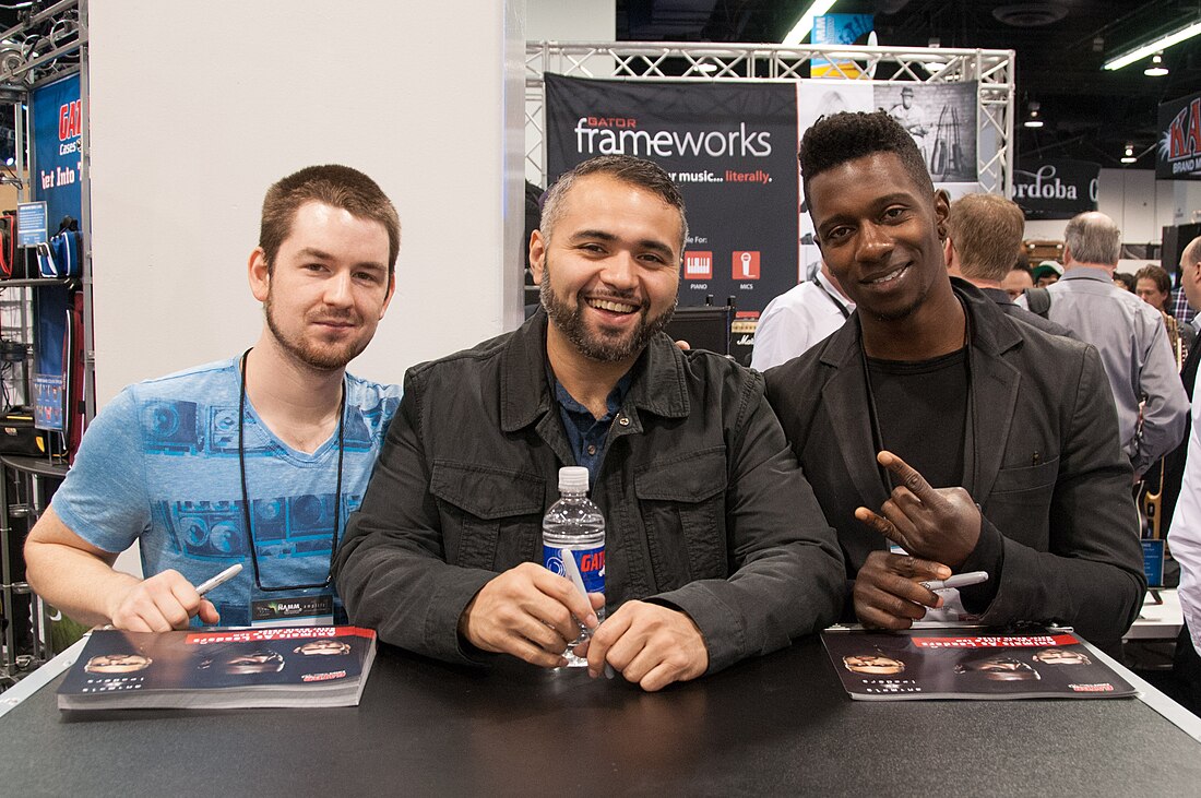 Animals as Leaders