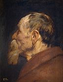 Anthony van Dyck - Head of an Old Man.jpg