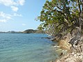Antigua und Barbuda - panoramio - georama (11).jpg